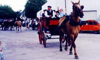 Desfile Gaucho