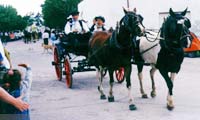 Desfile Gaucho