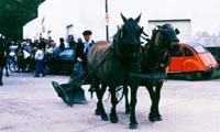 Desfile Gaucho