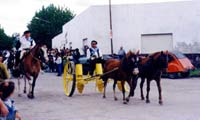 Desfile Gaucho