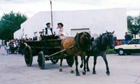 Desfile Gaucho