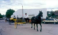 Desfile Gaucho