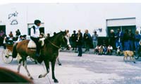 Desfile Gaucho