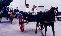 Desfile Gaucho